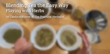 Blend Tea The Easy Way Herbal Tea Blending How-to