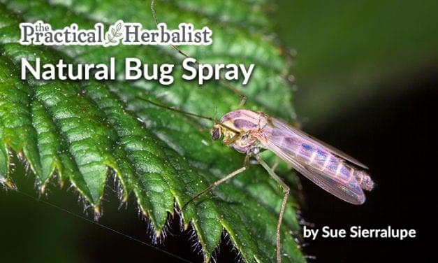 Bug Bane Spray: Natural Mosquito Repellent with Essential Oils