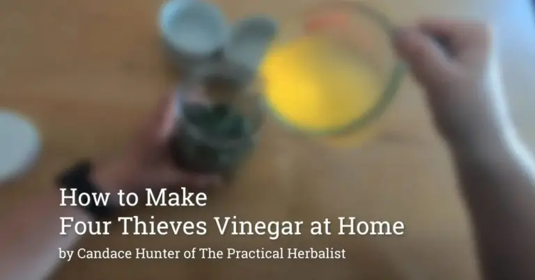 How to Make Four Thieves Vinegar at Home