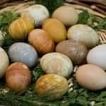 Eggs for dyeing