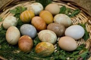 Eggs for dyeing