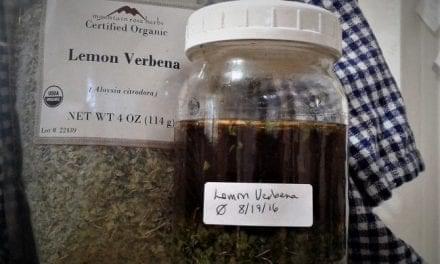 How to Make a Tincture: Easy Herbal Home Medicine