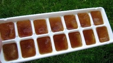 How to Make Herbal Ice Cubes
