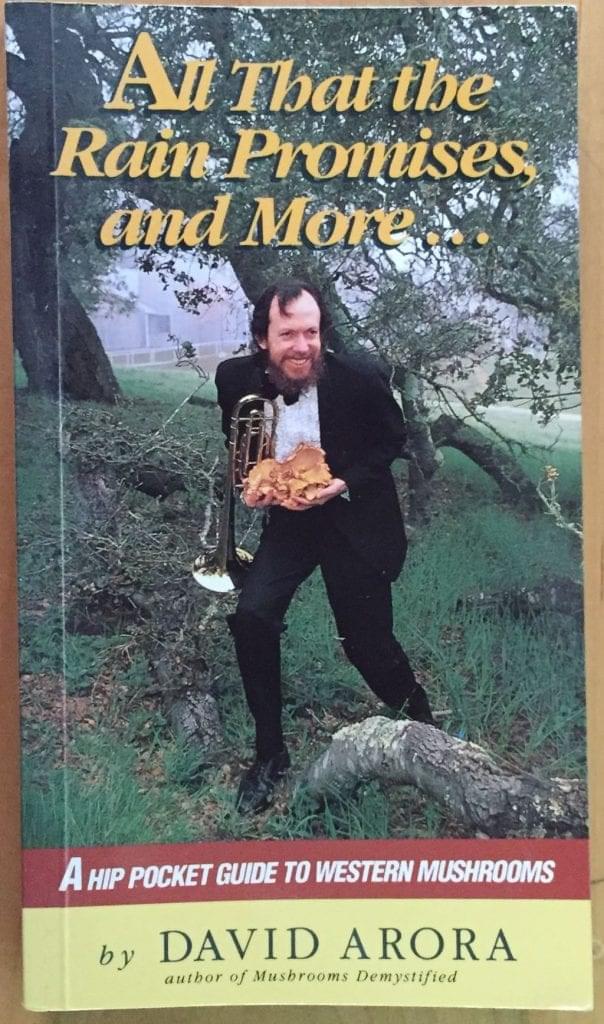 All That the Rain Promises and More... by David Arora