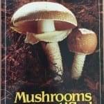 Mushrooms Demystified by David Arora