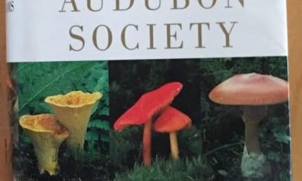 National Audubon Society Field Guide to North American Mushrooms By Gary H. Lincoff