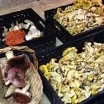 mushrooms in crates