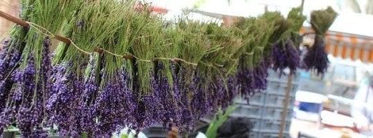 lavender drying