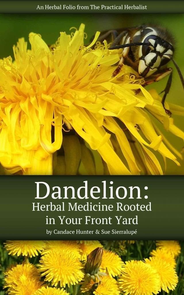 dandelion book cover