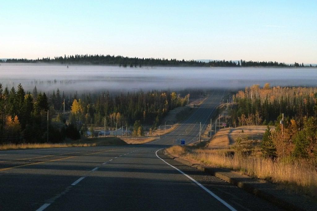 foggy road