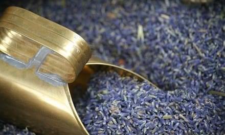 10.Lavender – Perfume with a Medicinal Punch