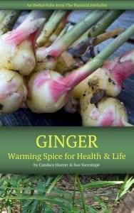 Ginger: Warming Spice for Health and Life