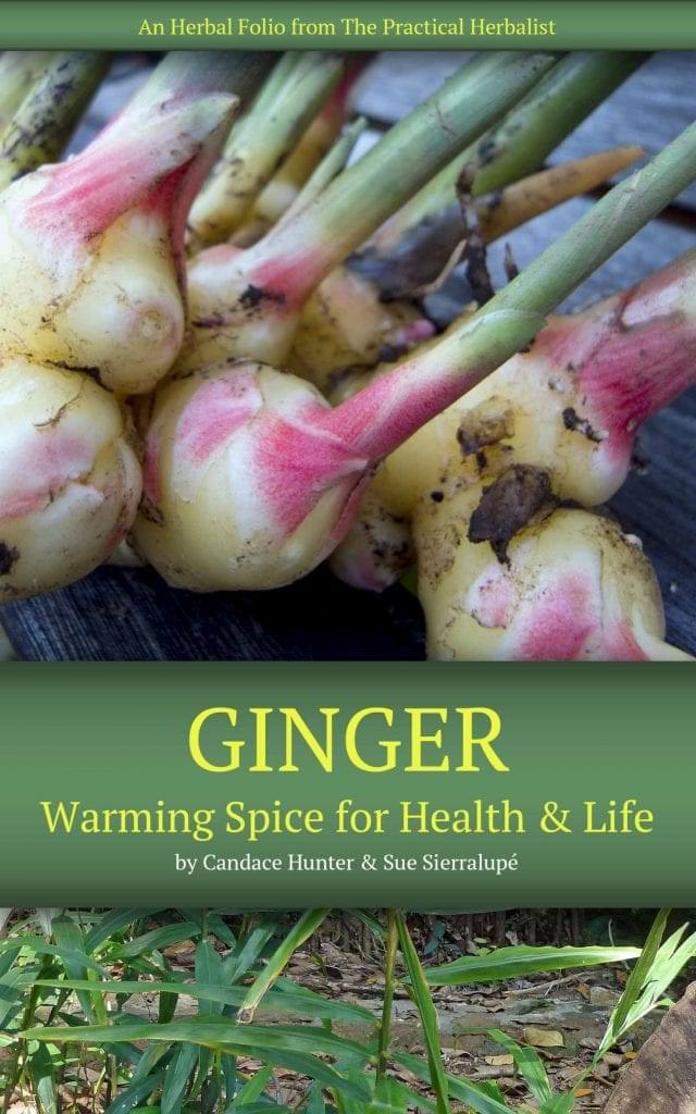 ginger book cover