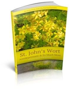 Saint John's Wort: Antidepressant & So Much More