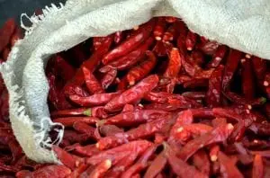 Chili pepper medicine