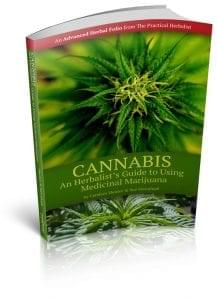 Cannibis-Cover-3D-shadows-576