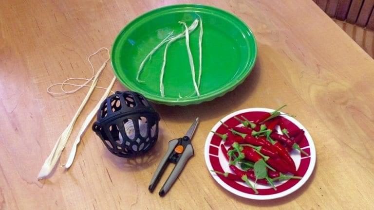 How to make Ristras - Chili Pepper Strings | The Practical Herbalist®