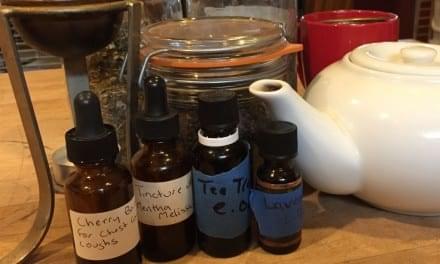 Herbs for Cold and Flu Season: Class Notes