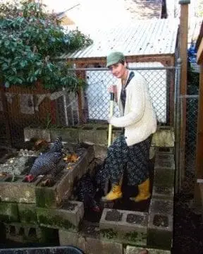 compost with chickens