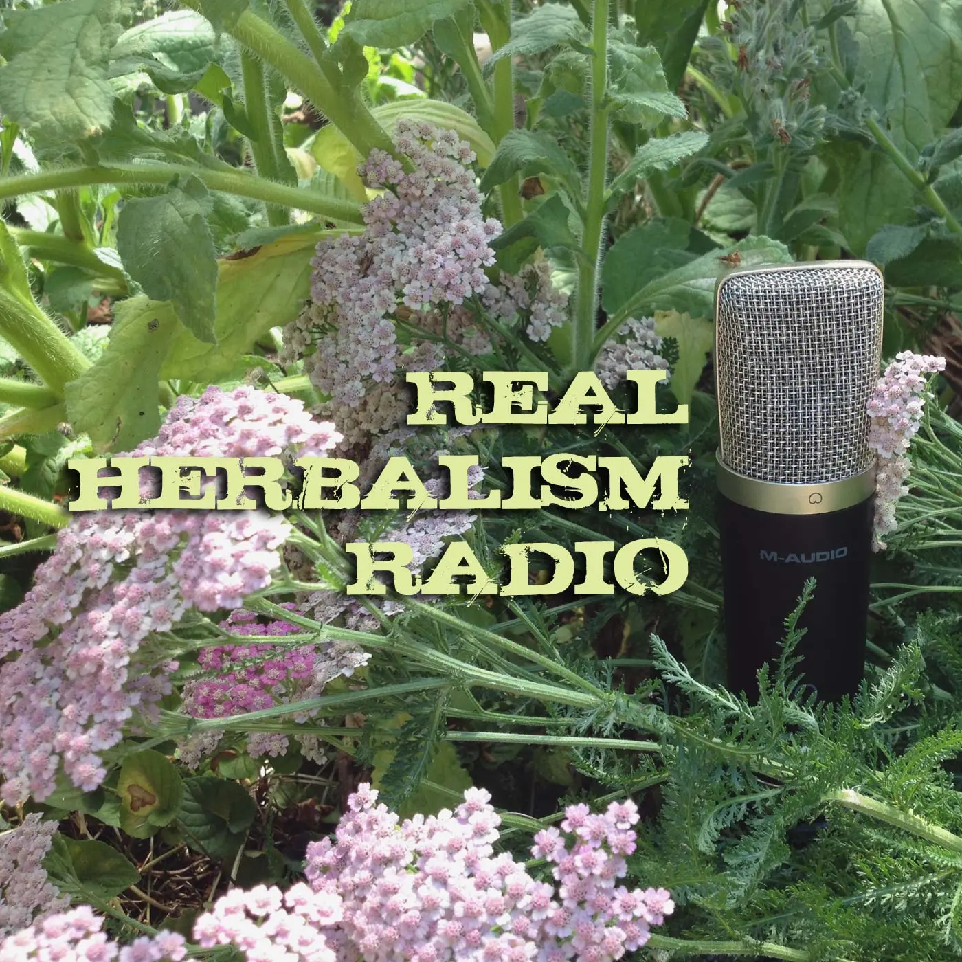 Herbal Nerd Society Podcasts
