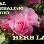 45.Herb Lab with Rose, News, Herbal 101 and a Preview