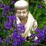 buddha in flowers