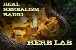 63.Herb Lab with Mushroom Medicine and Herbal 101