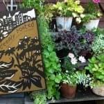 deeply rooted plant display