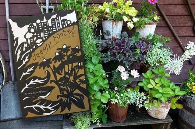 deeply rooted plant display