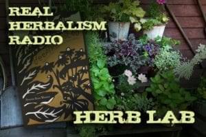 herbal explorations with Deeply Rooted by Bonnie Rose Weaver