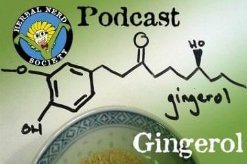 How It Works - Gingerol from Ginger