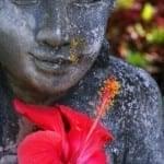 statue with hibiscus flower