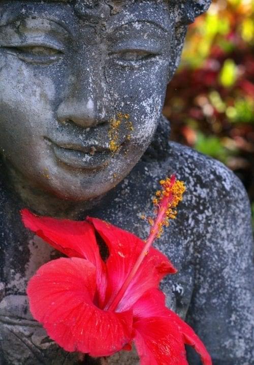 statue with hibiscus flower
