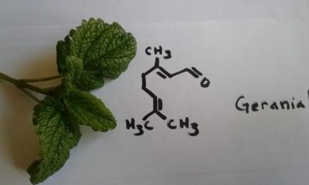 Geranial from Lemon Balm – How it Works