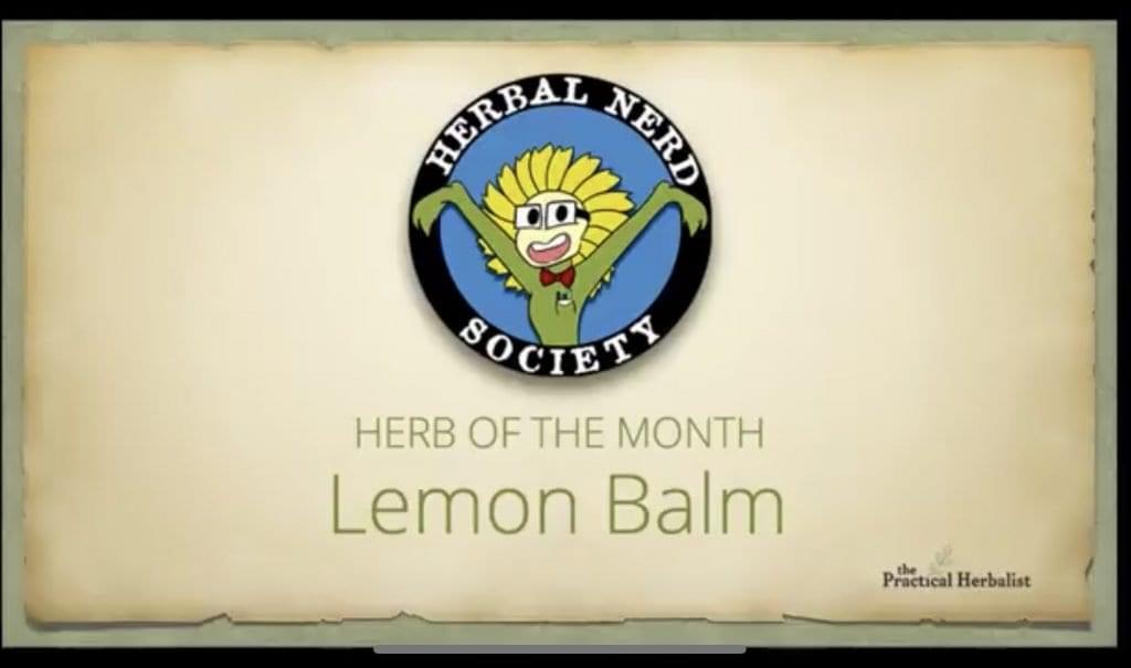 Herbal Nerd Society logo and Herb of the Month Lemon Balm