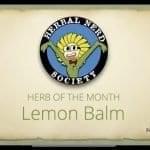 Herbal Nerd Society logo and Herb of the Month Lemon Balm