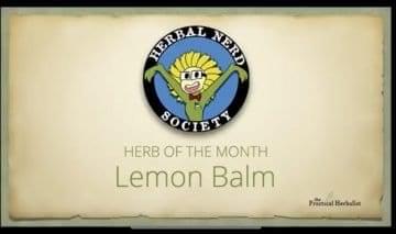 Herbal Nerd Society logo and Herb of the Month Lemon Balm