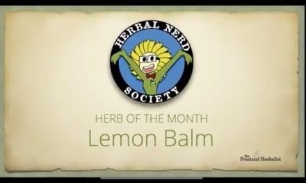 20 Best Home Remedy Uses for Lemon Balm: Learn About Lemon Balm