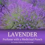 lavender-herbalism-ebook