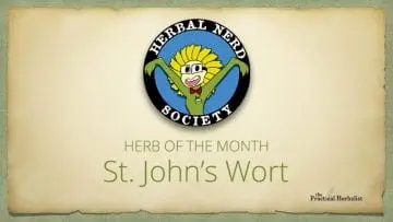Herbal nerd society logo and Herb of the Month St. John's Wort