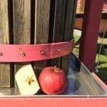 apple cider press