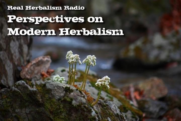132.Dr. Bill Rawls – Perspectives on Modern Herbalism