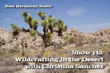desert wild crafting with christina sanchez