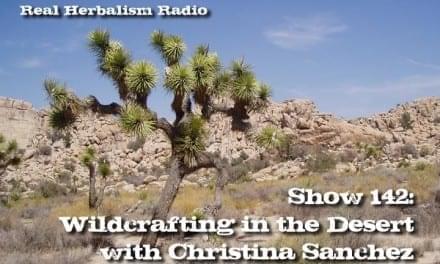 142.Wildcrafting in the Desert with Christina Sanchez