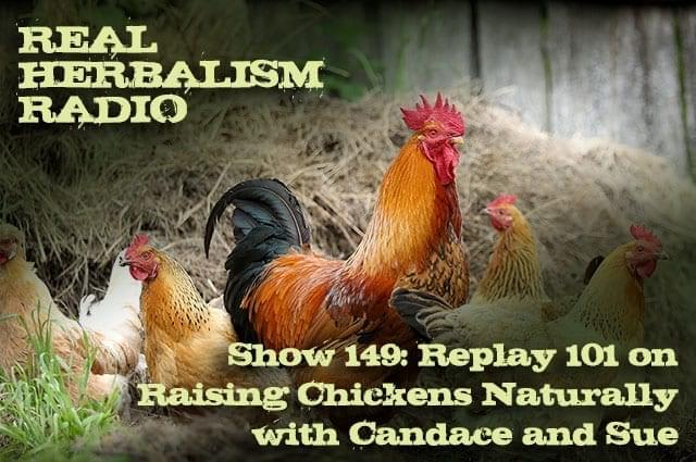 149.Replay 101 on Raising Chickens Naturally with Candace and Sue