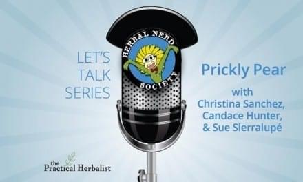 Let’s Talk Series: Christina Sanchez – Prickly Pear Cactus