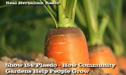 154.Plaedo – How Community Gardens Help People Grow