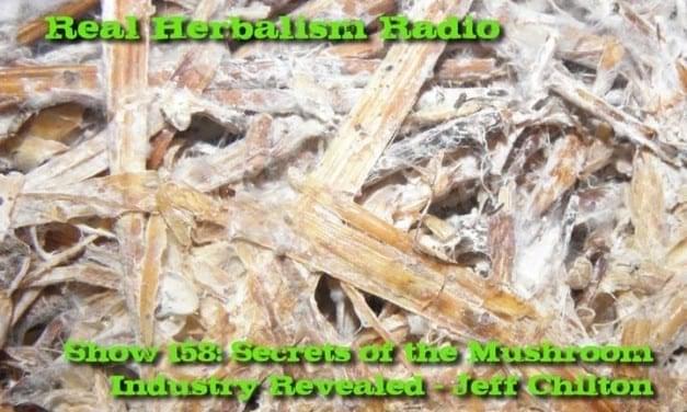 Show-158-Secrets-mushroom-industry