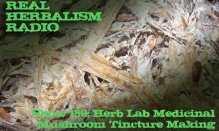159.Herb Lab – Medicinal Mushroom Tincture Making