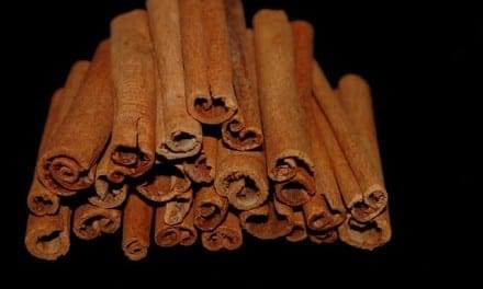 Cinnamon Herbal Properties: Traditional Herbal Medicinal Use